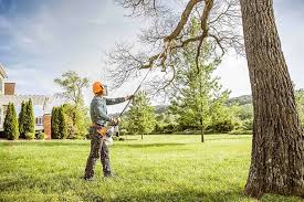 Why Choose Our Tree Removal Services in Redgranite, WI?