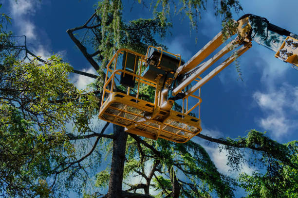 Best Arborist Consultation Services  in Redgranite, WI