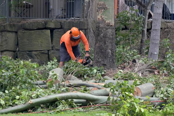 Best Tree Mulching Services  in Redgranite, WI